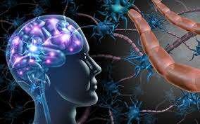 Stem Cell Therapy for Autism